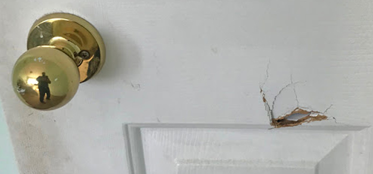 interior door hole repair Chino