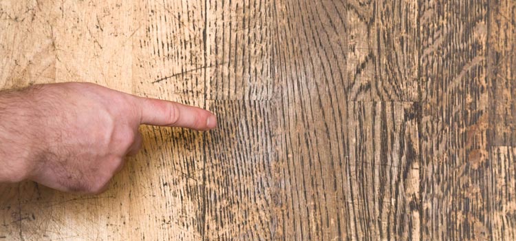 Wood Door Scratch Repair in Chino